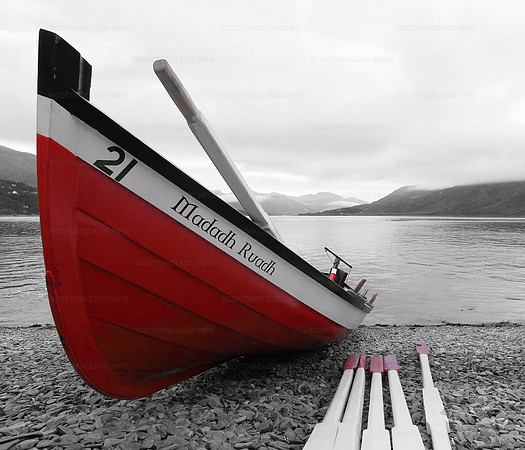 Madadh Ruadh