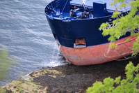 MV FRI OCEAN